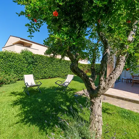 Appartement Mandorlo *